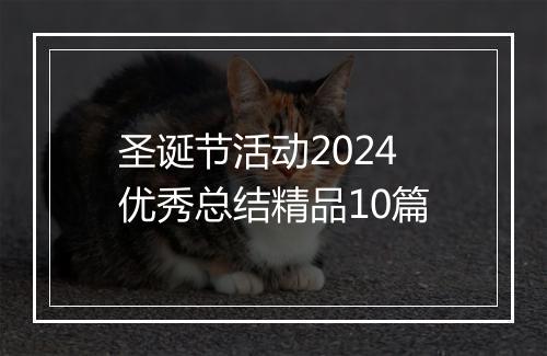 圣诞节活动2024优秀总结精品10篇