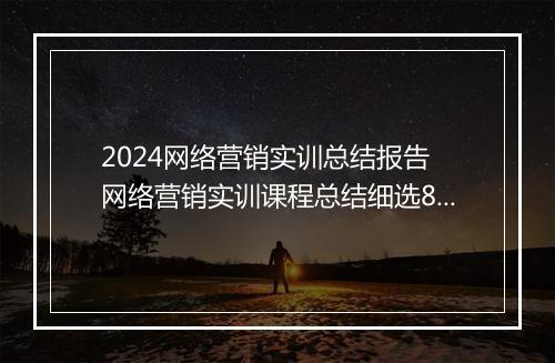 2024网络营销实训总结报告 网络营销实训课程总结细选8篇