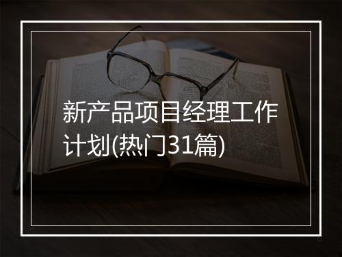 新产品项目经理工作计划(热门31篇)