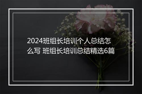 2024班组长培训个人总结怎么写 班组长培训总结精选6篇