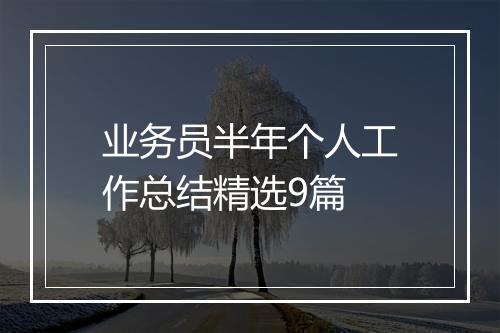 业务员半年个人工作总结精选9篇