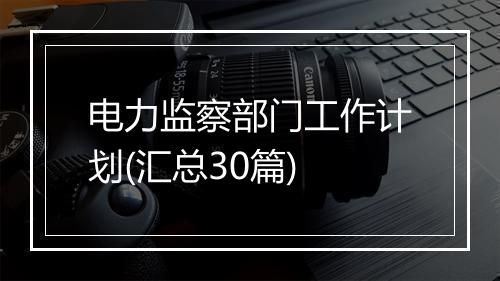 电力监察部门工作计划(汇总30篇)