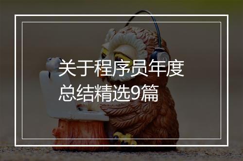 关于程序员年度总结精选9篇