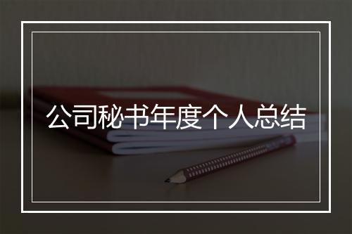 公司秘书年度个人总结