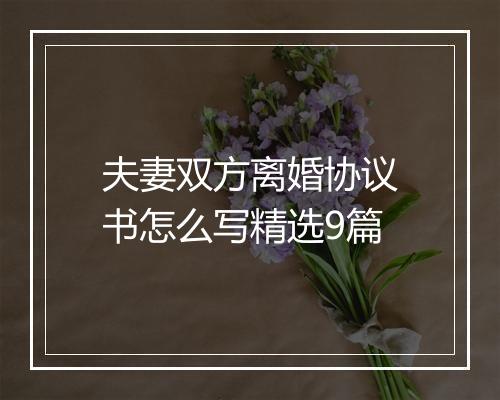 夫妻双方离婚协议书怎么写精选9篇
