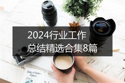 2024行业工作总结精选合集8篇