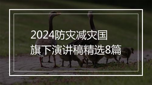 2024防灾减灾国旗下演讲稿精选8篇