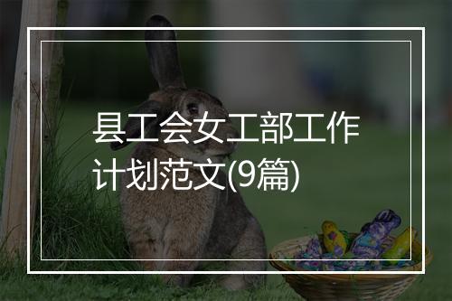 县工会女工部工作计划范文(9篇)