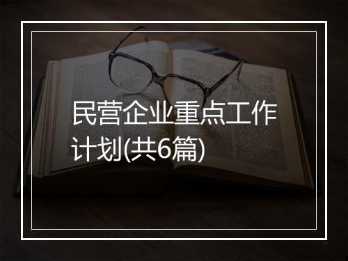民营企业重点工作计划(共6篇)