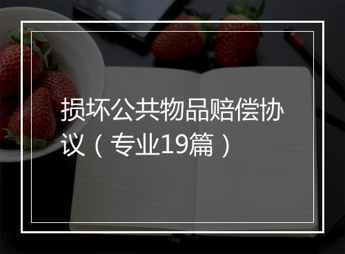 损坏公共物品赔偿协议（专业19篇）