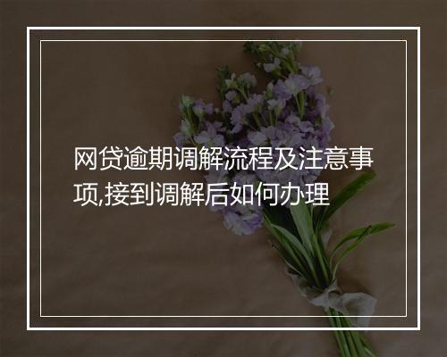 网贷逾期调解流程及注意事项,接到调解后如何办理