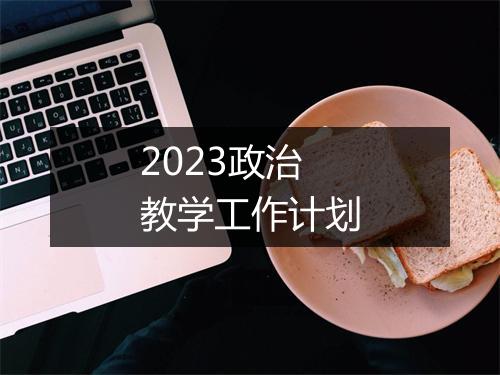 2023政治教学工作计划