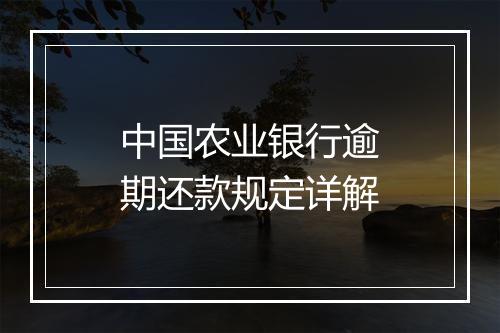 中国农业银行逾期还款规定详解