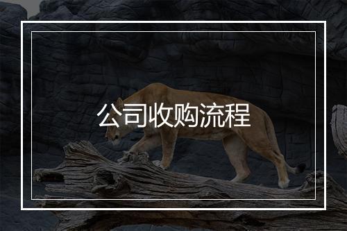 公司收购流程