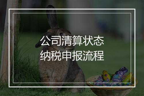 公司清算状态纳税申报流程