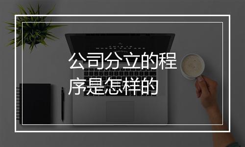公司分立的程序是怎样的
