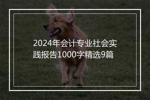 2024年会计专业社会实践报告1000字精选9篇