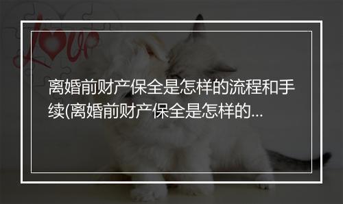 离婚前财产保全是怎样的流程和手续(离婚前财产保全是怎样的流程)