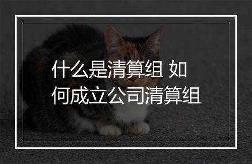 什么是清算组 如何成立公司清算组