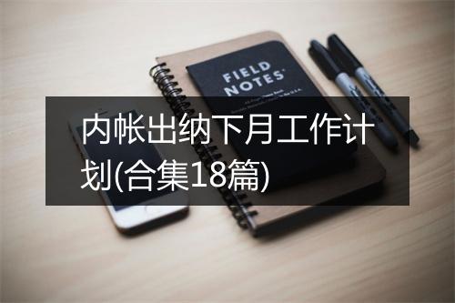 内帐出纳下月工作计划(合集18篇)