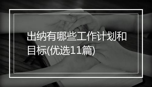 出纳有哪些工作计划和目标(优选11篇)