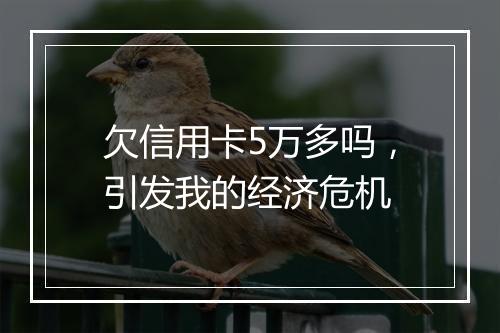 欠信用卡5万多吗，引发我的经济危机