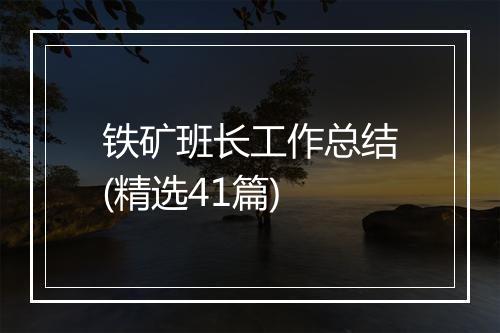 铁矿班长工作总结(精选41篇)