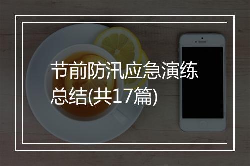 节前防汛应急演练总结(共17篇)