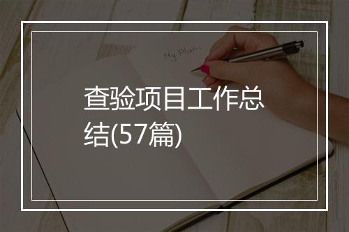 查验项目工作总结(57篇)