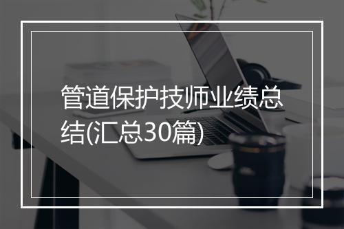 管道保护技师业绩总结(汇总30篇)