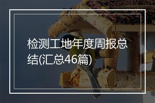 检测工地年度周报总结(汇总46篇)