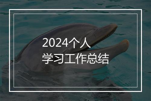 2024个人学习工作总结