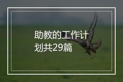 助教的工作计划共29篇