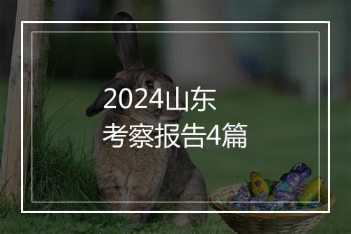 2024山东考察报告4篇