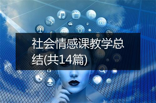 社会情感课教学总结(共14篇)