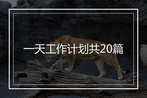 一天工作计划共20篇