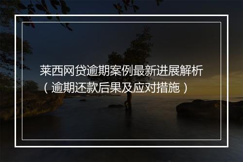 莱西网贷逾期案例最新进展解析（逾期还款后果及应对措施）