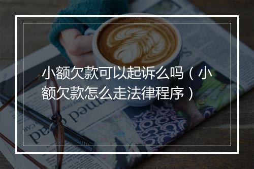 小额欠款可以起诉么吗（小额欠款怎么走法律程序）