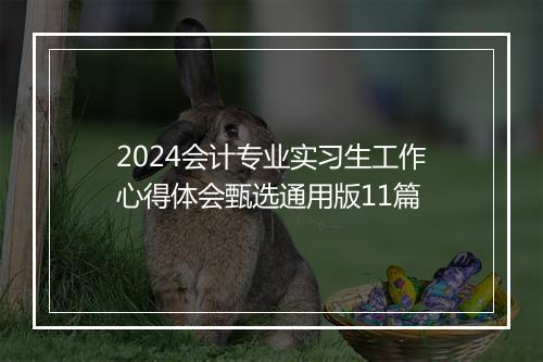 2024会计专业实习生工作心得体会甄选通用版11篇