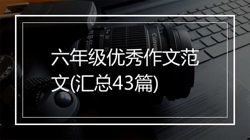六年级优秀作文范文(汇总43篇)