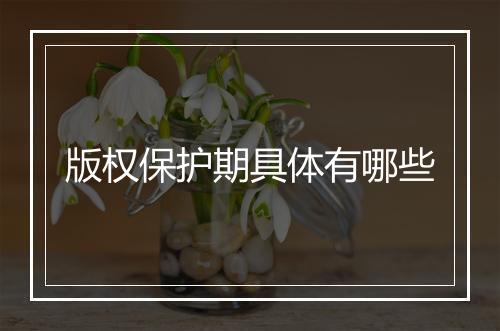 版权保护期具体有哪些