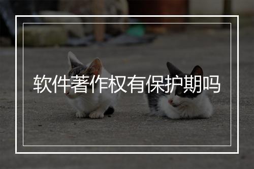 软件著作权有保护期吗