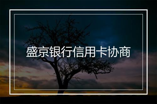盛京银行信用卡协商