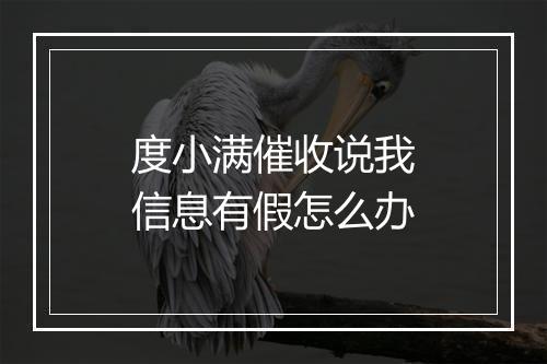 度小满催收说我信息有假怎么办