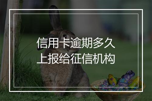 信用卡逾期多久上报给征信机构
