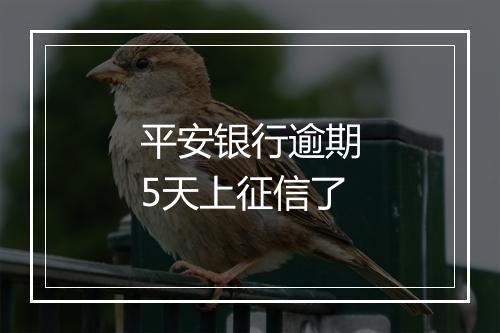平安银行逾期5天上征信了