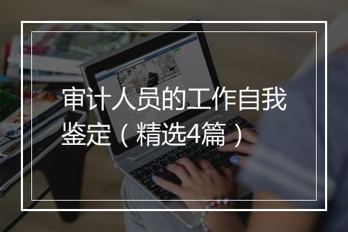 审计人员的工作自我鉴定（精选4篇）