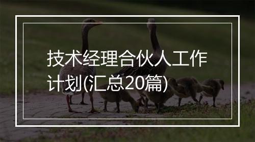 技术经理合伙人工作计划(汇总20篇)