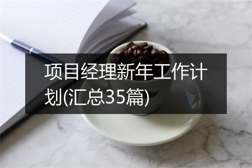 项目经理新年工作计划(汇总35篇)