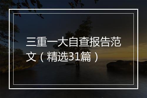 三重一大自查报告范文（精选31篇）
